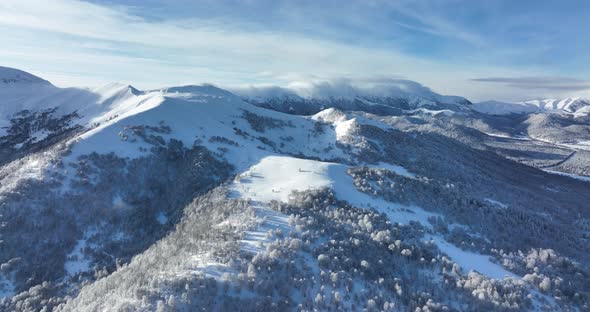 Aerial view of frozen forest with snow covered trees at winter. Flight above mountains in Bakuriani