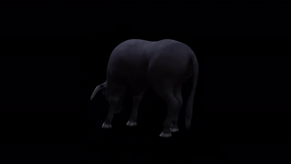 Bull Eat View From Back Side alt