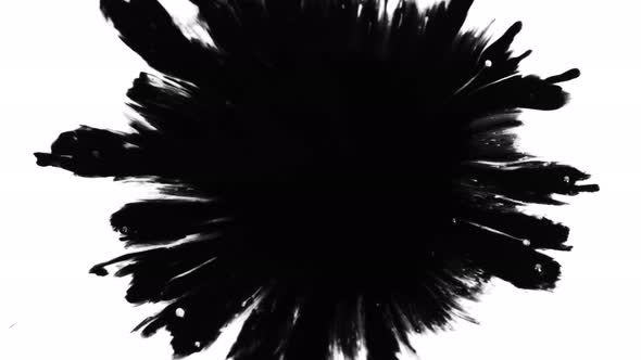 Super Slow Motion Shot of Black Ink Drop Isolated on White Background at 1000 Fps