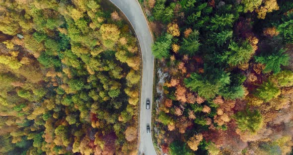 Overhead Aerial Top View Over Car Travelling on Road in Colorful Autumn Forest