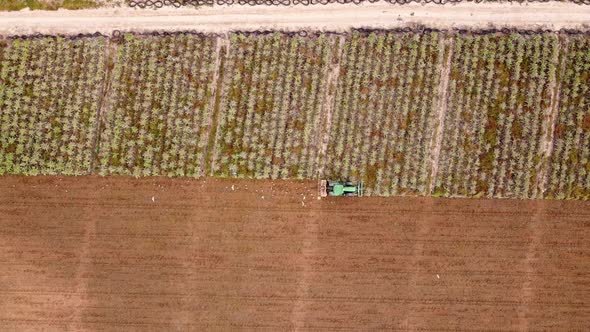 Tractor tilling drone shot aerial view. Farmworker riding tractors plowing the earth