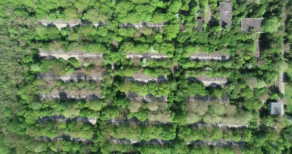 Aerial view of old abandoned pig farm. Livestock farm. Abandoned collective farm