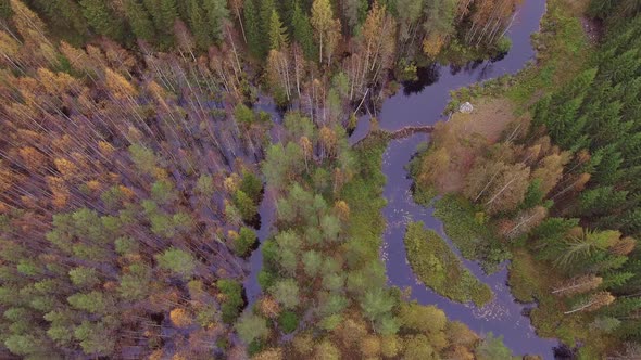 Slowly rotating aerial video of a beautiful autumn colored Finnish forest and flooding river caused