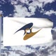 Eurasian Economic Union Flag Waving - VideoHive Item for Sale
