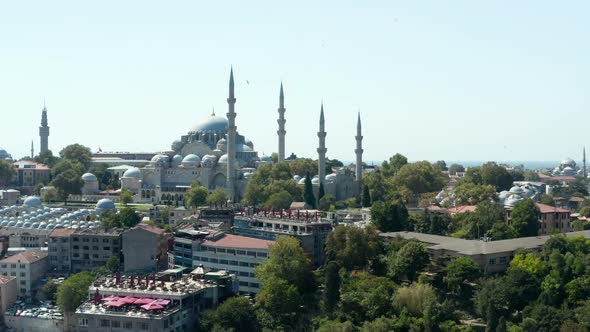 Mosque on Hill in Istanbul City Center with Clear Blue Sky and Seagulls Passing Frame, Slow Aerial