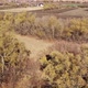 Beautiful Rural Autumn Landscape From a Drone in Russia - VideoHive Item for Sale