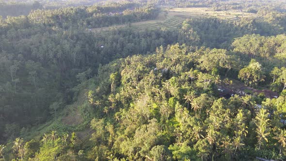 Aerial view of morning sunrise in traditional village ubud Bali, Indonesia.