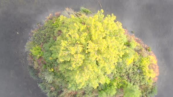 Rising aerial shot from a large green tree on an island in a pond surrounded by grass and trees on a