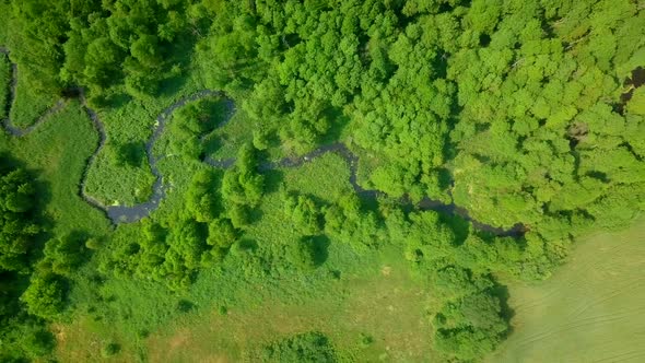 Flight Over Green Summer Forest and Wild River