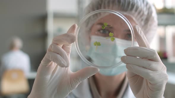 Female Scientists Examining Petri Dish in Laboratory