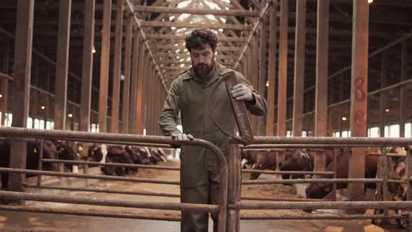 Farmer Walking Through Gate in Cowshed