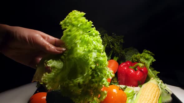 Closeup Slow Motion Video of Female Hand Shaking Wet Lettuce Leaves and Splashing Water Droplets