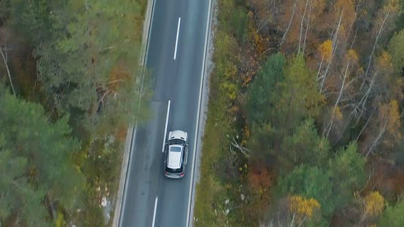 Aerial View of a Luxury Car Driving on Road Through the Forest