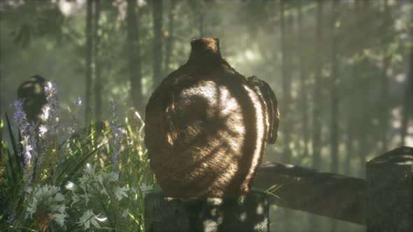 Japan Bamboo Forest and Green Meadow Grass with Natural Light alt