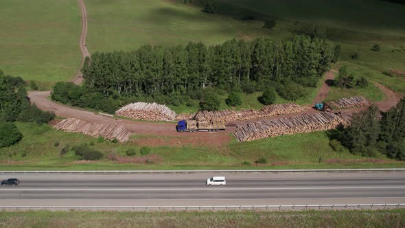 The Deforestation of Siberia Economic and Environmental Problems in Russian Forest Management