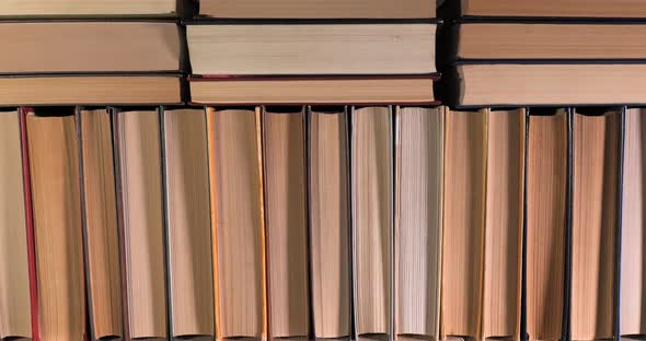 Many Books Organized in Shelves in a Big Bookstore