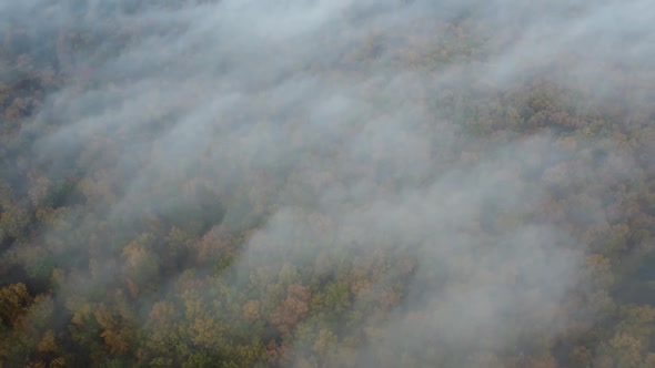 Aerial view high above the forest where the fog flies. Fog clouds fly low over the autumn forest.