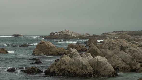 Birds flying over overcast rocky beach dolly over waves, Monterey California, rock formations