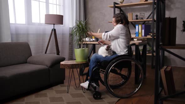 Handicapped Woman in Wheelchair Working From Home