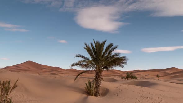 erg chebbi dune sand sahara desert morocco merzouga