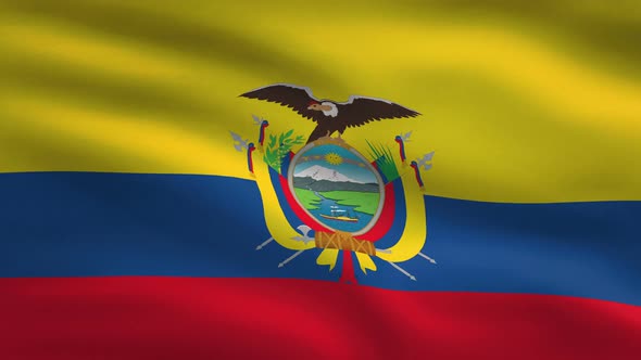 Ecuador Windy Flag Background 4K