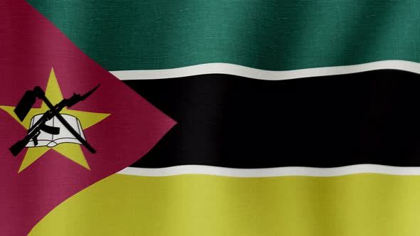 The National Flag of Mozambique alt