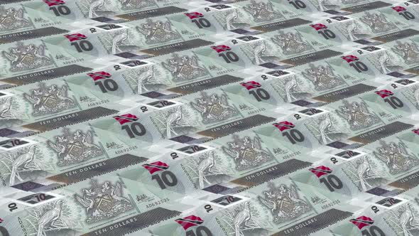 Trinidad And Tobago Money /10 Dollar 4K