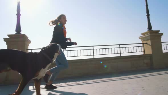 Young Female Running with Great Swiss Mountain Dog on Sea Front at Sunrise Slow Motion