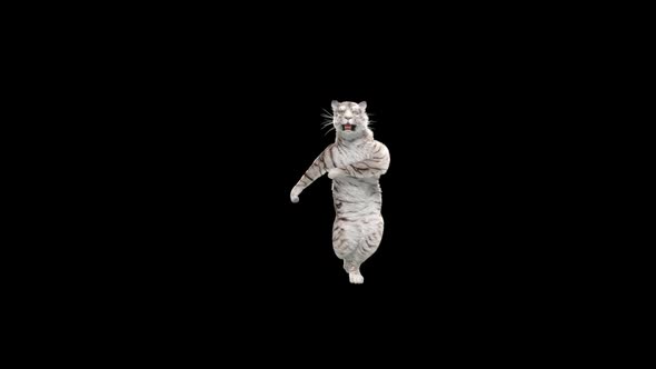 White Tiger Dancing 4K