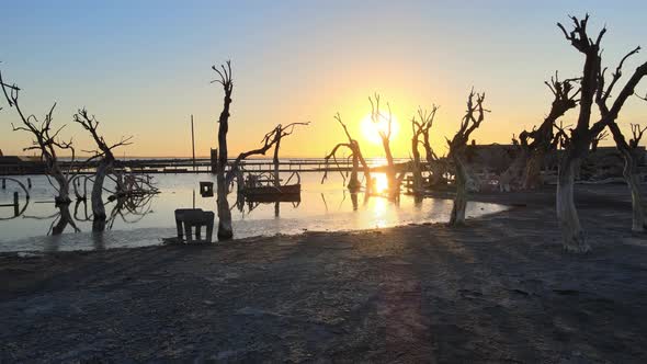 Golden hour along shoreline of Epecuen Town Shot tracking forward