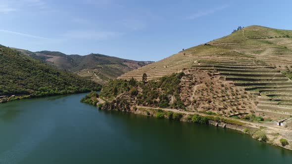 Aerial of Douro Terraced Vineyards in Portugal