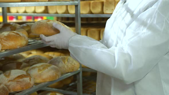 A Baker in a Bakery Holds Freshly Baked Bread. Production of Bakery Products Close Up. Freshly Baked