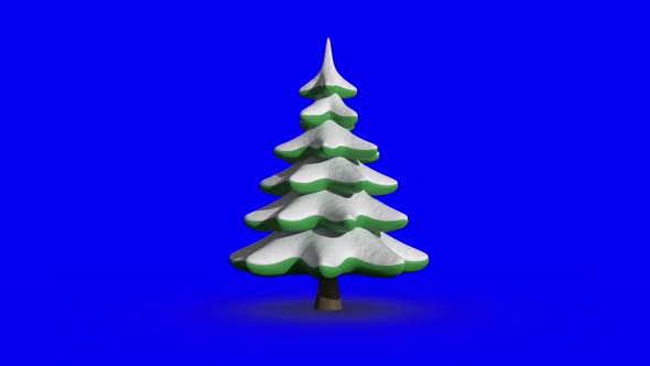 Revolving fir tree on blue screen