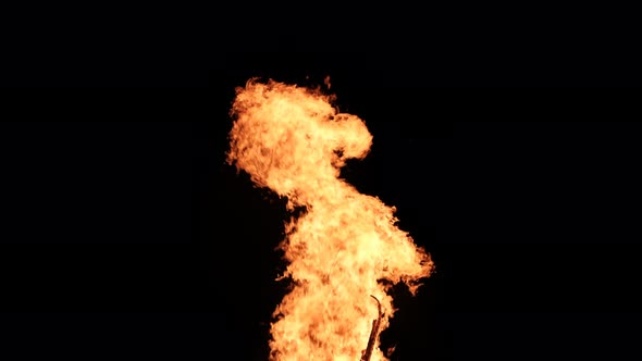 Fire Flames on a Black Background Bonfire Burning at Night