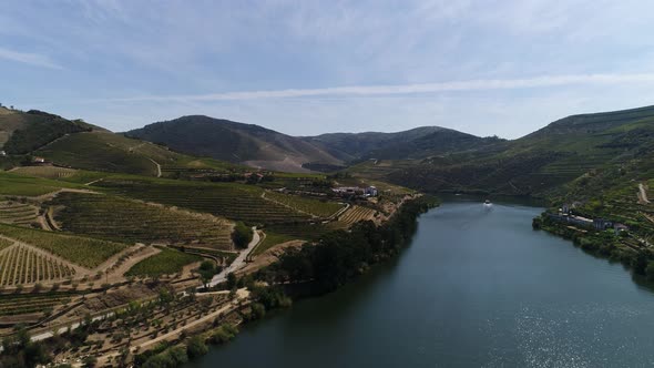Terraced Lands with Vineyards Located Along Douro River