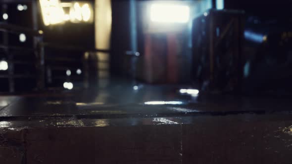 Neon Lights at Rainy Night alt