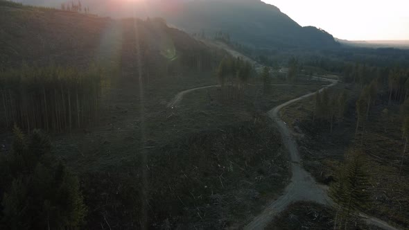 Dramatic Drone View Of Logging Deforestation For Lumber Industry