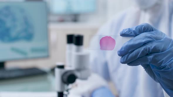 Microscope Sample in Hands of Scientist in Coverall