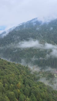 Vertical Video of Fog in the Mountains