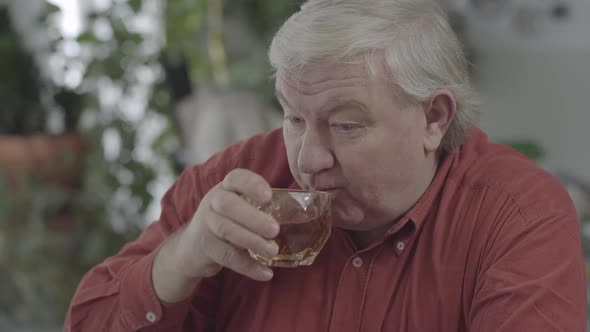 Close-up Portrait of Senior Man Drinking Whiskey Sitting at Home. The Elderly Man with a Glass of