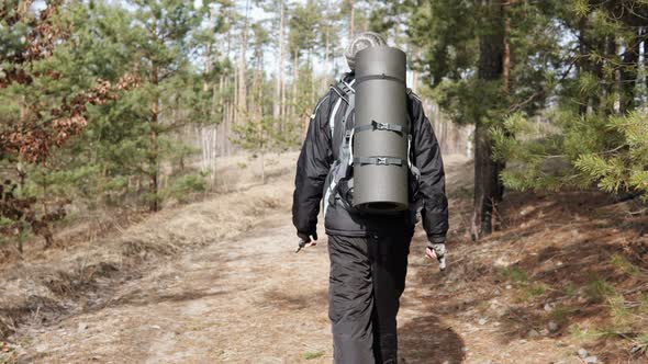 Tourist on a walk in the forest park. Orientation in the forest.