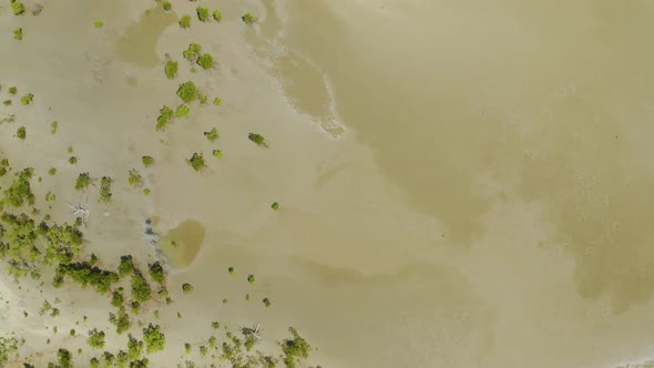 Aerial View On Low Tide, Huge Sand Ocean Bed And Mangroves Growing In Queensland Australia 