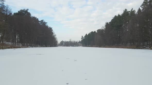 Frozen Lake In The Forest