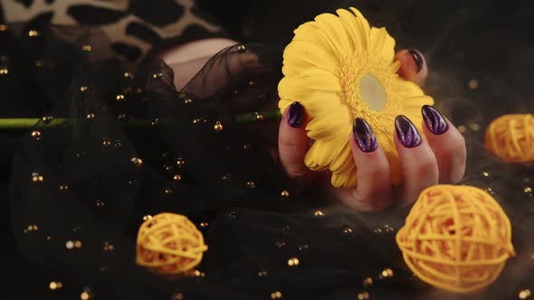 Adult Woman's Hand with Purple Manicure on Black Background