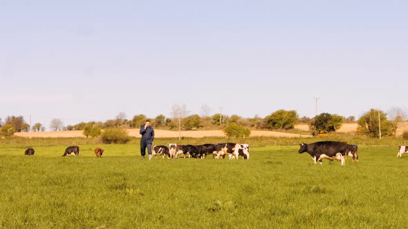 Cattle farmer talking on mobile phone