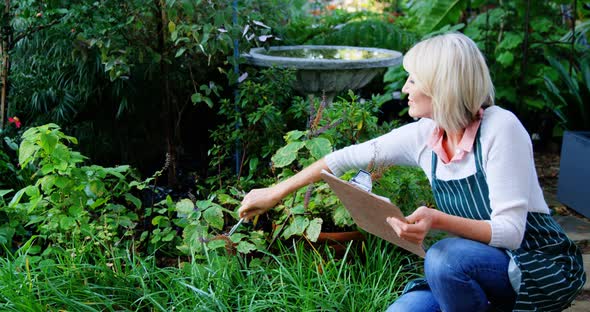 Mature woman checking plant