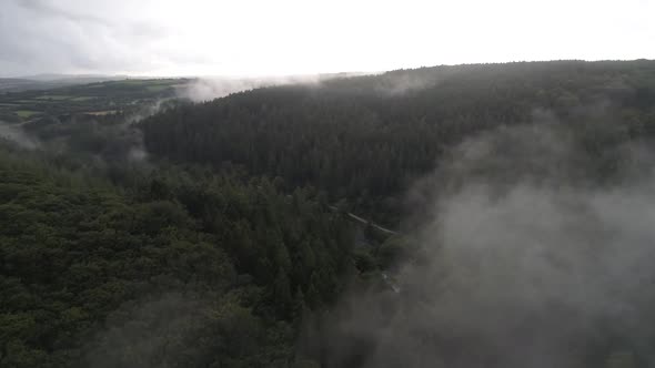 Aerial establishing shot of foggy woodland deep in the countryside