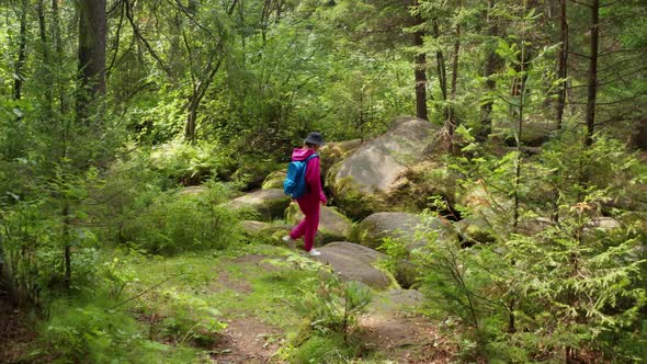 Aerial View of a Girl Walking in the Woods