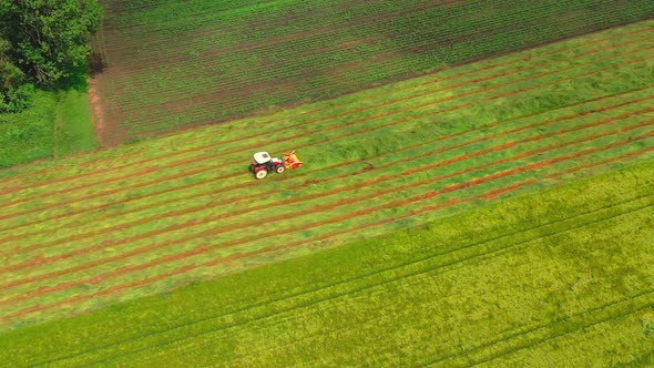 Aerial Topdown View of a Tractor Cutting Grain Moving on Beautiful Fresh Green Field