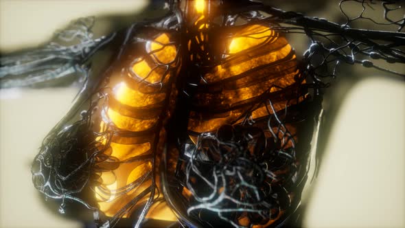 Human Body Scan with Glowing Lungs and Trachea alt